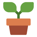 Botanical atmosphere